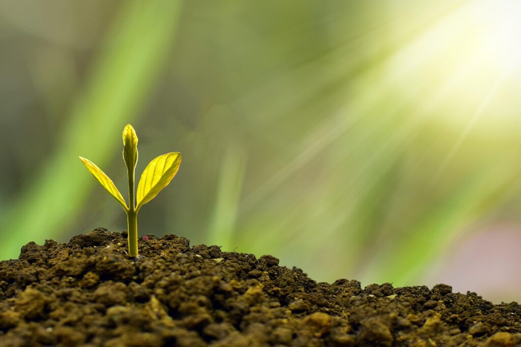 See how sustainable cleaning strategies can help your business.